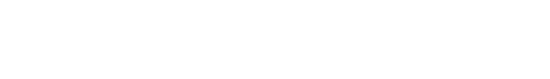 Control Autos